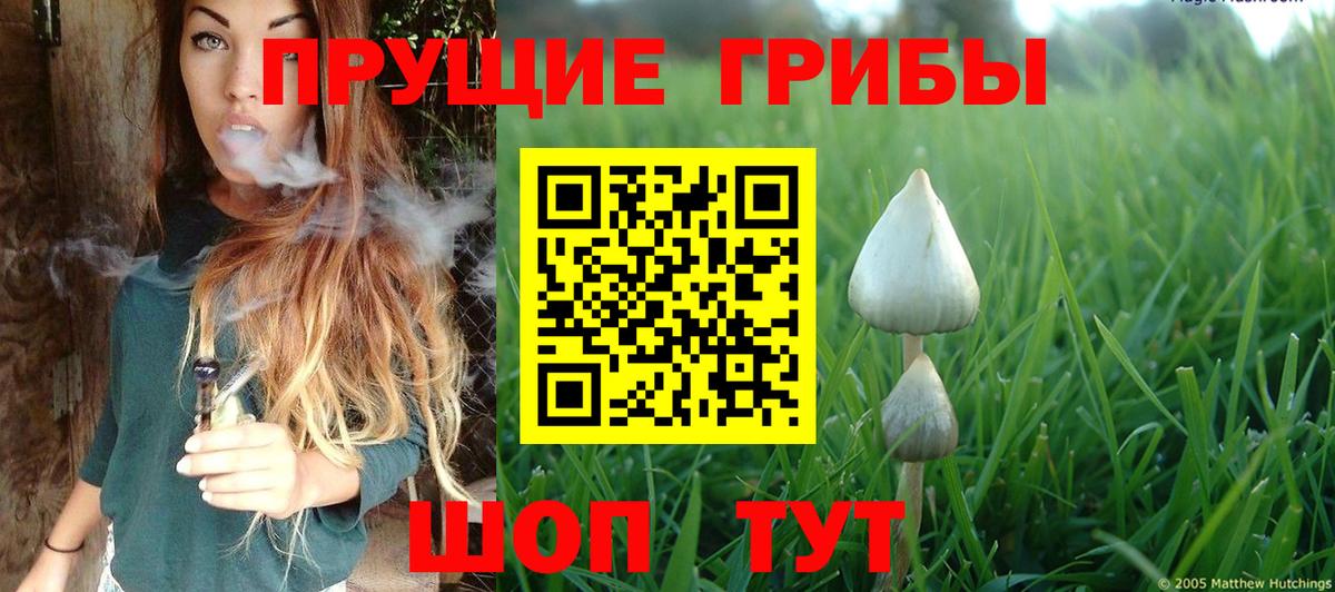 Галлюциногенные грибы ЛСД Волгодонск