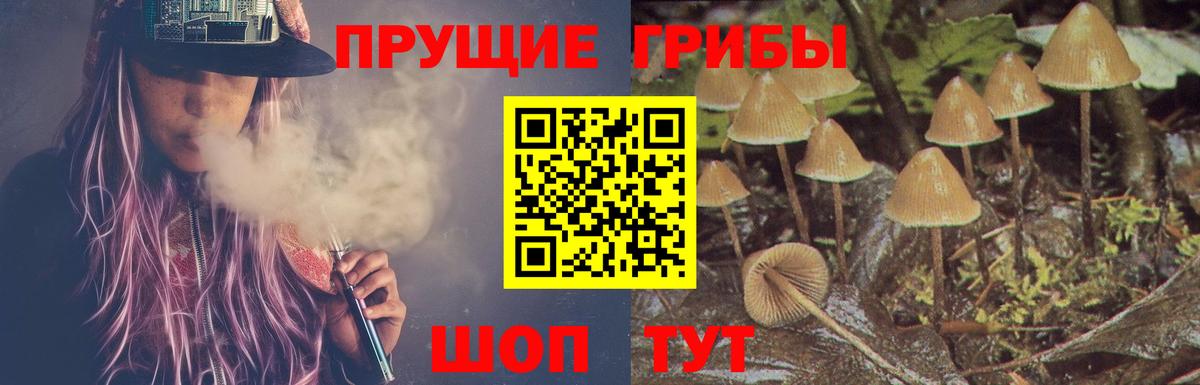 закладки  Галлюциногенные грибы мухоморы  Вход с VPN  Волгодонск 